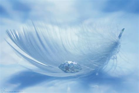 Pin By Lynn L On Beautiful Things~~ 美丽的東西 Shades Of Blue Photo