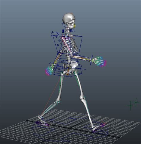 Animated Female Skeleton Rig 3d Model Maya Files Free