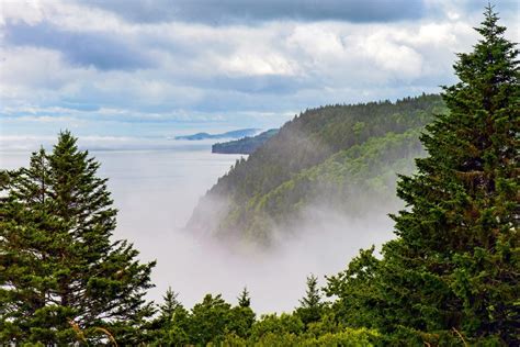 Your Guide To Fundy National Park In New Brunswick Experience Nature