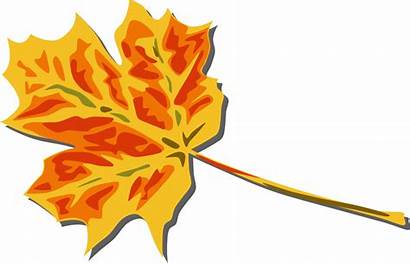 Leaves Fall Clip Leaf Autumn Clipart Onlinelabels