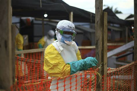 Ebola 2 is created in the spirit of the great classics of survival horrors. Uganda confirms first Ebola case outside outbreak in Congo