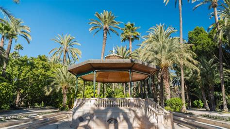 The palmeral or palm grove of elche is the generic name for a system of date palm orchards in the city of elche, spain. Hoteles en Elche: descubre las maravillas del Palmeral de ...