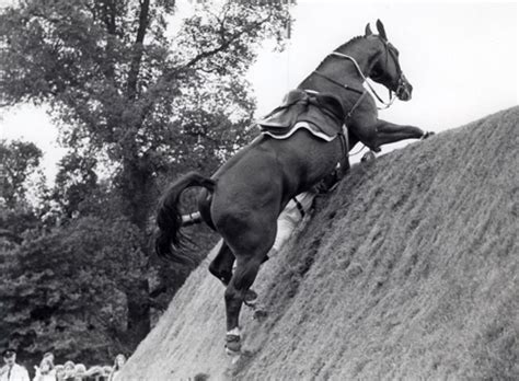 From opening a bank account to insuring your family's home and belongings, it's important you know which options are right for you. Hickstead Derby through the decades PICS - Horse & Hound