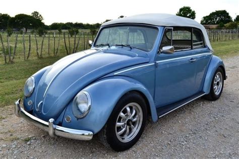 1967 Vw Beetle Convertible Complete Restoration No Reserve Volkswagen