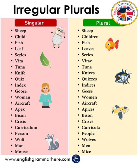 To create the plural form of a compound noun, the plural ending is usually added to the main noun. Irregular Plurals | Irregular Plurals Noun in English ...