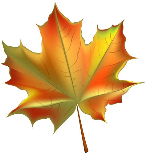 Autumn Leaves Clipart Fall Leaves Bright Autumn Leaves Clipart Download Free Download