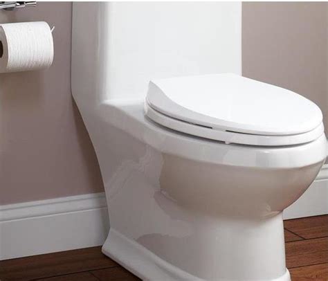 How To Handle A Toilet Overflow