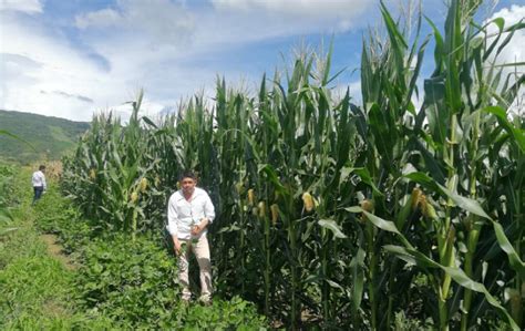 Los suelos con manejo agroecológico preservan la diversidad genética de