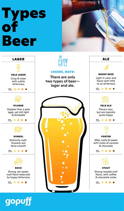 Types Of Beer The Ultimate Guide Types Of Beer Beer Education Beer