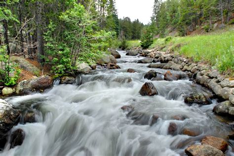 Rocky Mountain Stream Stock Image Image Of Terrain Nature 4236789