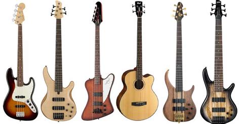 Bass Guitar Types Electric Fretless Acoustic And More