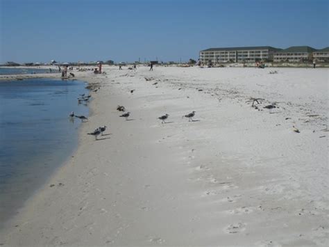 Dauphin Island Public Beach All You Need To Know Before You Go