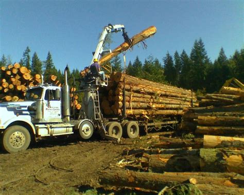 Washington Logging Company Timber Buyer Trucking Trees Harvesting