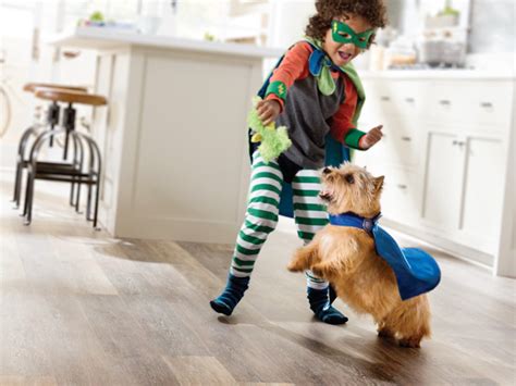 Pet resistant carpet 416067 collection of interior design and decorating ideas on the littlefishphilly.com. Carpet Courts Pet Proof Flooring | Female.com.au