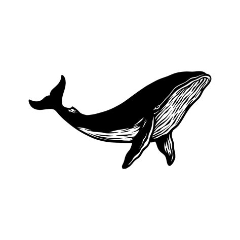 Whale Fish Silhouette Vector Hand Drawn 2245766 Vector Art At Vecteezy