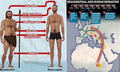 Neanderthal Dna Blamed For Mood Swings And Smoking Habits Daily Mail