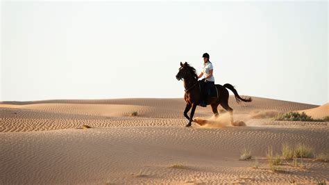 Desert Horse Riding At Winners Equestrian