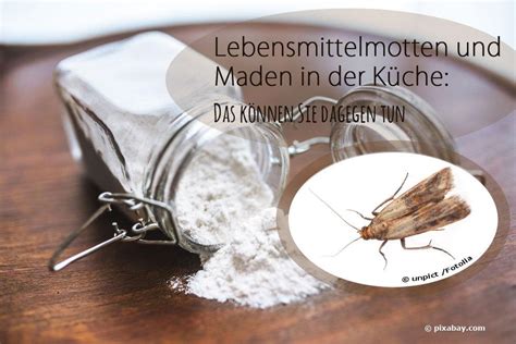 Contact im wohnzimmer on messenger. Lebensmittelmotten und Maden von Motten in der Küche: was tun?