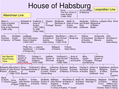 Die stammlinie der familie habsburg wie wir sie heute kennen, geht noch auf maria theresia zurück. PPT - Family Trees of the Austrian Habsburgs PowerPoint ...