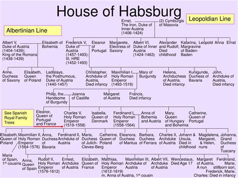 The current habsburg family consists of the direct descendants of emperor karl and empress zita. PPT - Family Trees of the Austrian Habsburgs PowerPoint Presentation, free download - ID:5834360