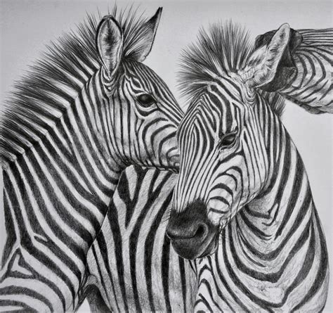 Check spelling or type a new query. 40 Beautiful and Realistic Animal Sketches For Your Inspiration