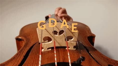 How To Choose The Best Violin Strings 2022 Guide