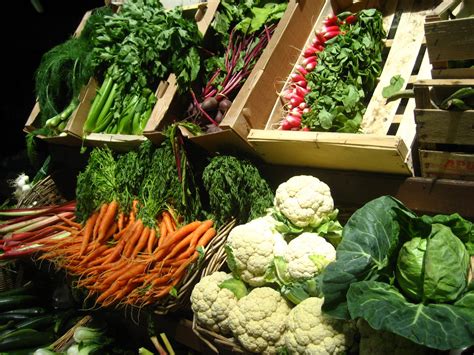 5 Healthiest Vegetables and Their Benefits - Franchise Guide HQ UK