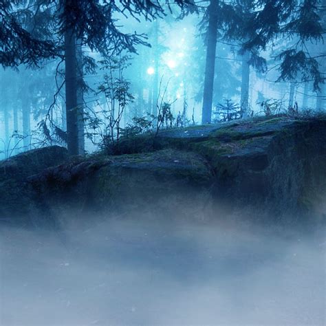 Landscape Forest Dark Evening Ipad Air Wallpapers Free Download