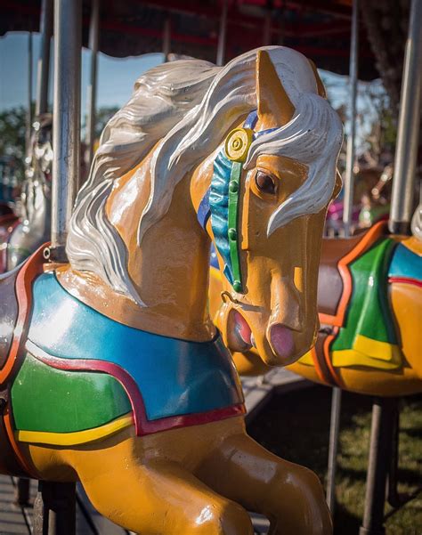 Hd Wallpaper Merry Go Round Carnie Carnival Horse Fair Traveler