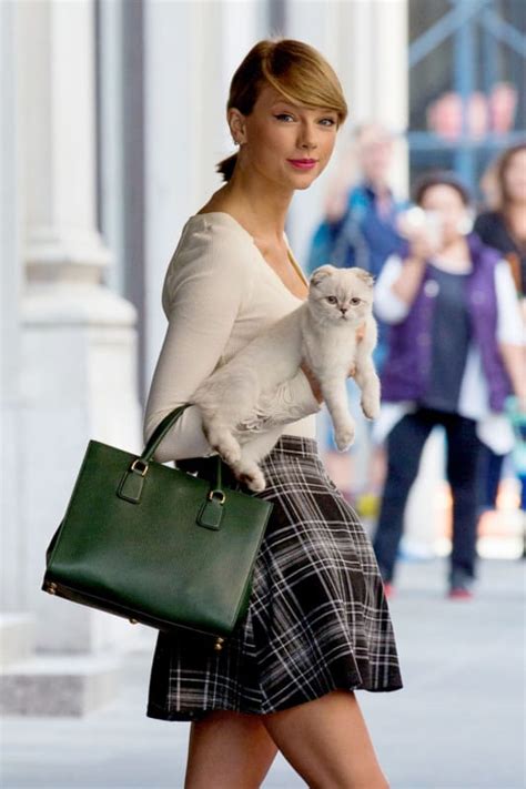 Taylor Swift And Cats A Perfect Pairing The Hollywood Gossip