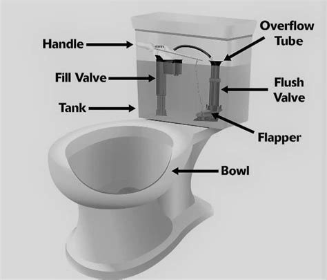 Different Types Of Toilet Flush Systems Which Is The Best Toilet Haven