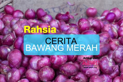 Khasiat Bawang Merah Women Online Magazine