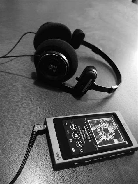 They won't stand out and won't be a fashion. Koss Porta Pro with Yaxi Pads : headphones