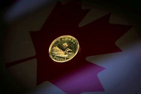 canadian dollar forecasts turn less bullish as boc rate cuts eyed reuters poll saltwire