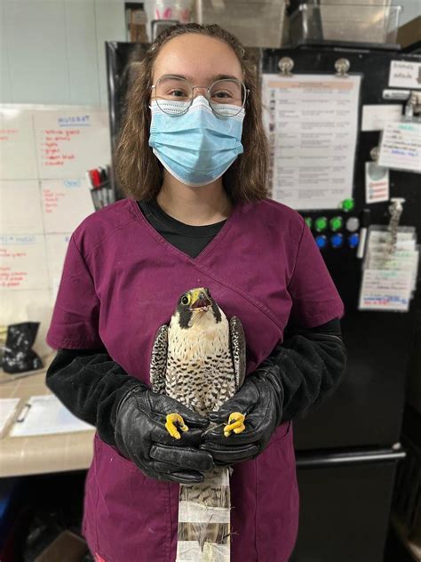 Regina wildlife rehab centre welcomes new generation of animal lovers