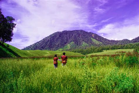 Kebun bunga matahari yang ada di malang ini masih ada dalam kawasan wisata peternakan megastar batu, malang, jawa timur. Oro-Oro Ombo: Hamparan Bunga "Lavender" ~ Aditya Zulmi