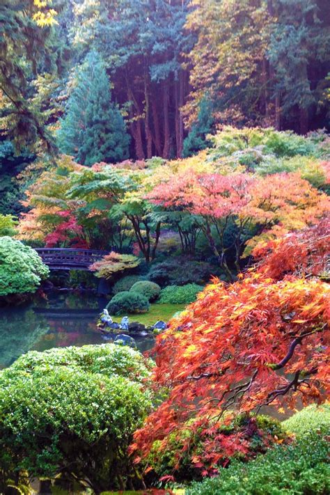 Portland Japanese Garden Outdoor Project