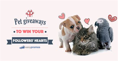 Pet Giveaway Ideas Win Your Followers Hearts And Loyalty Easypromos