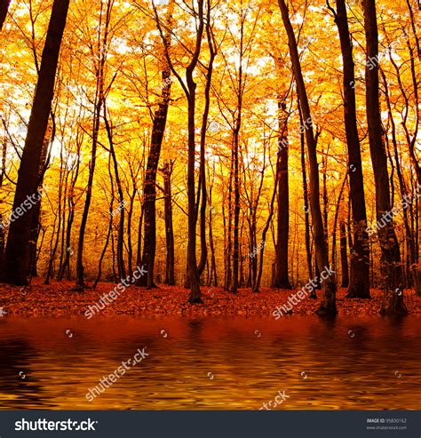 Lake In Autumn Forest Beautiful Nature Background Stock