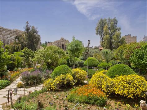 The Gardens Of Damascus Can Syrians Reconnect With Nature Beloved Syria