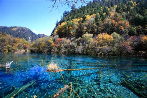 Beautiful Lake In Jiuzhai Stock Image Image Of Lake Jiuzhaigou 3639059