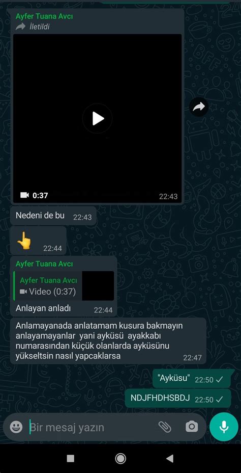 ayküsu-hsjdhdhsbbs-call-screenshot,-pandora-screenshot,-incoming-call-screenshot