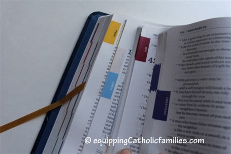 Review The Great Adventure Catholic Bible Equipping