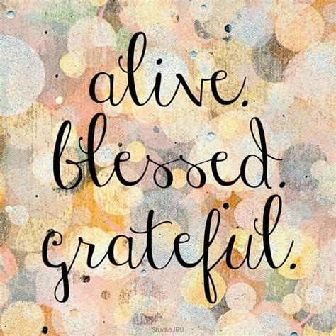 Alive Blessed Grateful Grateful Quotes Blessed Quotes Thankful Quotes