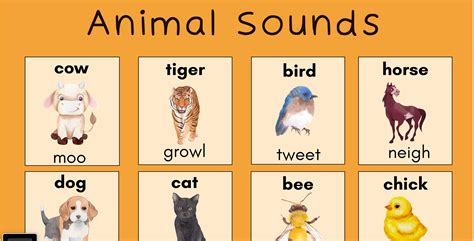 Animal Sounds Poster | Etsy