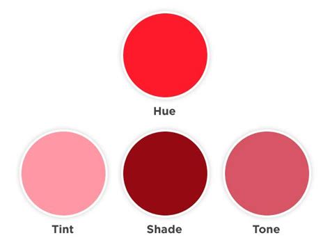 Hgtv Color Wheel Shows Tint Shade And Tone Of Hue Hgtv