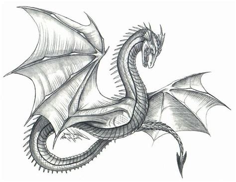 Рисунки драконов для срисовки 100 фото