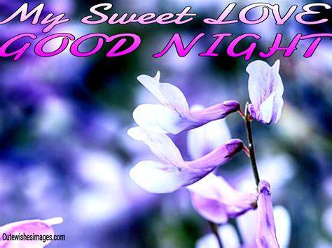 Romantic Good Night Text Messages Cute Wishes Images Quotes Love Messages Sms