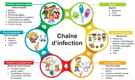 Chaine De Transmission Des Infections Chaine Dinfection Succesuser