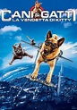Cani e Gatti: La vendetta di Kitty (2010) Film Commedia: Trama, cast e ...
